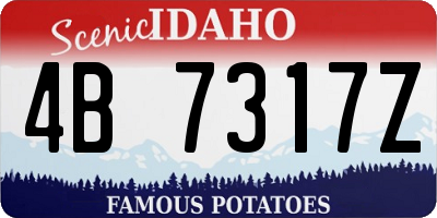 ID license plate 4B7317Z