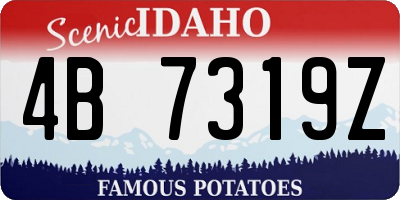 ID license plate 4B7319Z