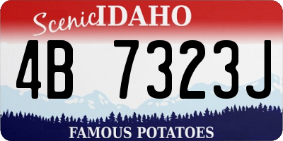 ID license plate 4B7323J