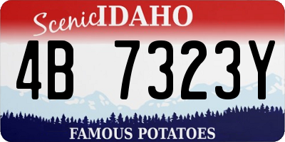 ID license plate 4B7323Y