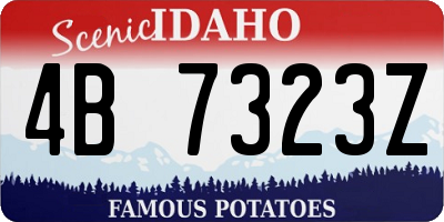 ID license plate 4B7323Z