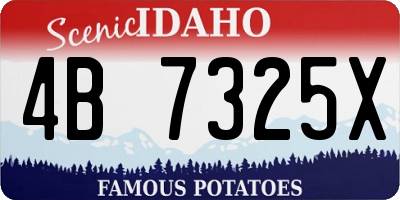 ID license plate 4B7325X