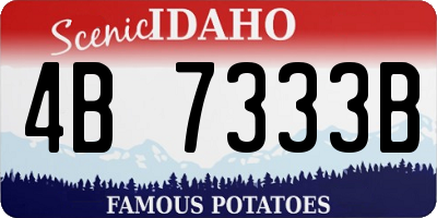 ID license plate 4B7333B