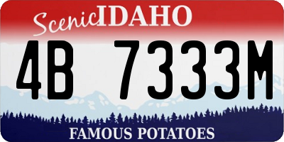 ID license plate 4B7333M
