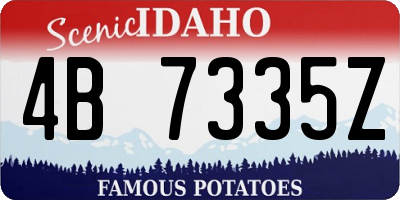 ID license plate 4B7335Z