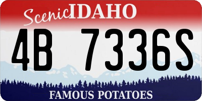 ID license plate 4B7336S