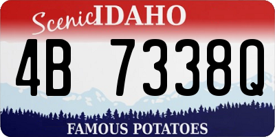 ID license plate 4B7338Q