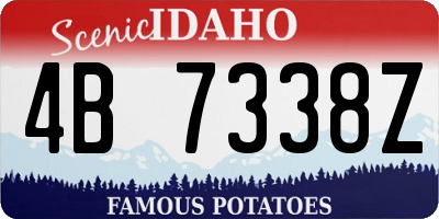 ID license plate 4B7338Z