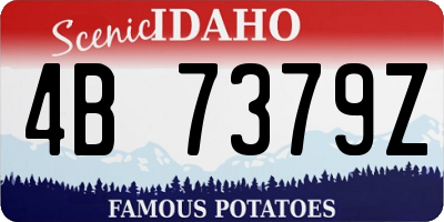 ID license plate 4B7379Z