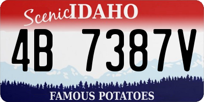 ID license plate 4B7387V