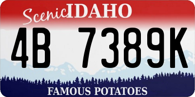 ID license plate 4B7389K