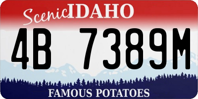 ID license plate 4B7389M
