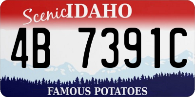 ID license plate 4B7391C