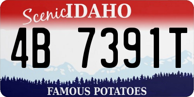 ID license plate 4B7391T