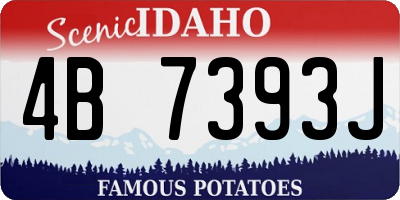 ID license plate 4B7393J