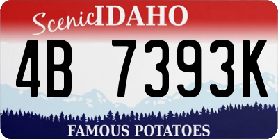 ID license plate 4B7393K