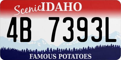 ID license plate 4B7393L