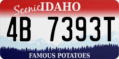 ID license plate 4B7393T