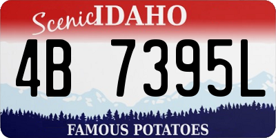 ID license plate 4B7395L