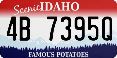 ID license plate 4B7395Q
