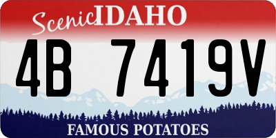 ID license plate 4B7419V