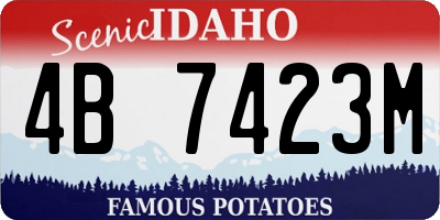 ID license plate 4B7423M