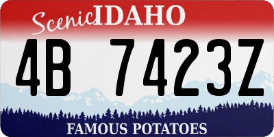 ID license plate 4B7423Z