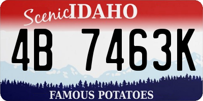 ID license plate 4B7463K