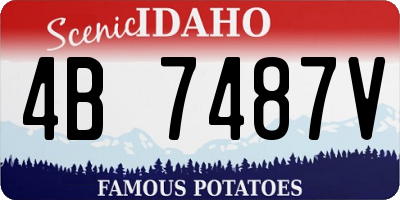 ID license plate 4B7487V