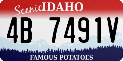 ID license plate 4B7491V