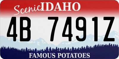 ID license plate 4B7491Z