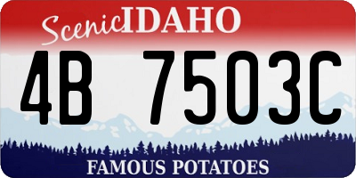 ID license plate 4B7503C