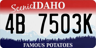 ID license plate 4B7503K