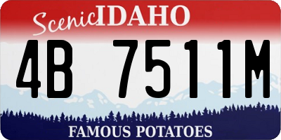 ID license plate 4B7511M