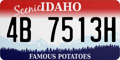 ID license plate 4B7513H