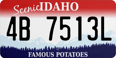 ID license plate 4B7513L