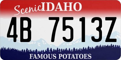 ID license plate 4B7513Z