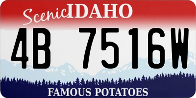 ID license plate 4B7516W