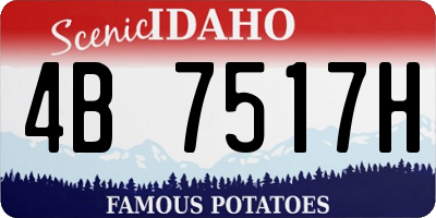 ID license plate 4B7517H
