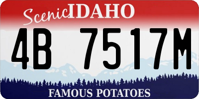 ID license plate 4B7517M