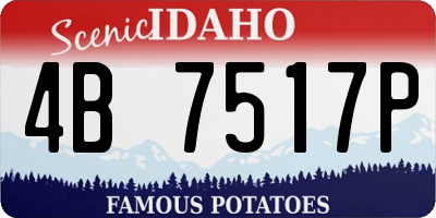 ID license plate 4B7517P