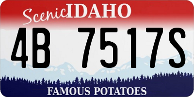 ID license plate 4B7517S