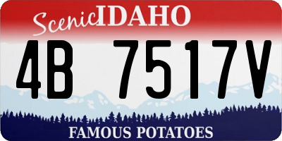 ID license plate 4B7517V