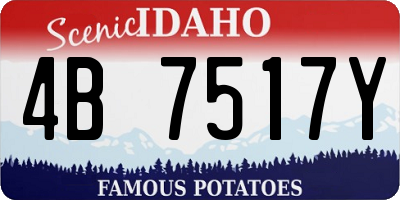 ID license plate 4B7517Y