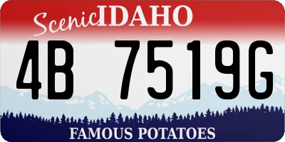 ID license plate 4B7519G