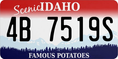 ID license plate 4B7519S