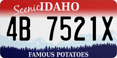 ID license plate 4B7521X