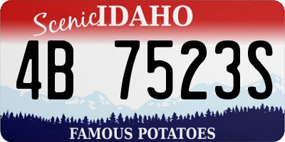 ID license plate 4B7523S