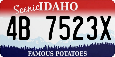 ID license plate 4B7523X
