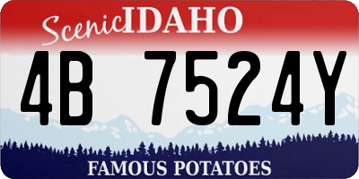 ID license plate 4B7524Y